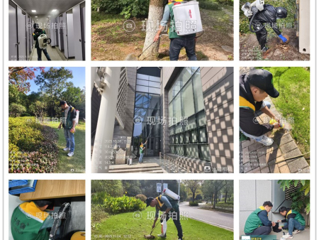 园博园除四害消杀