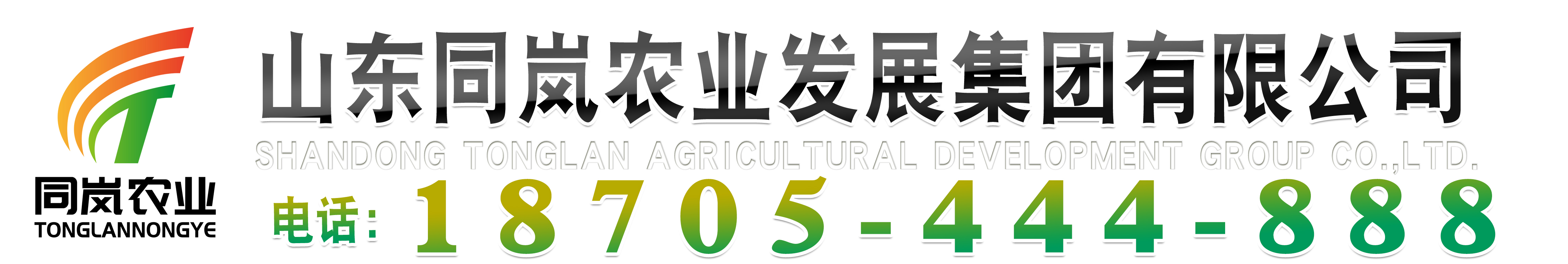 山东同岚农业发展集团有限公司