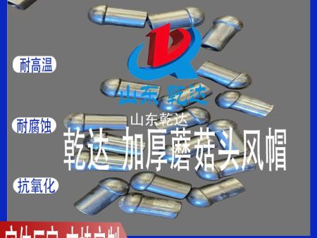 山東乾達    稀土合金ZGCr28Ni4Mn3Si2 加厚蘑菇頭風(fēng)帽 