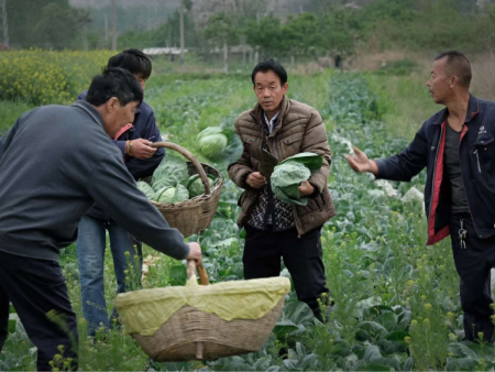 一箱净菜的48小时漂流记