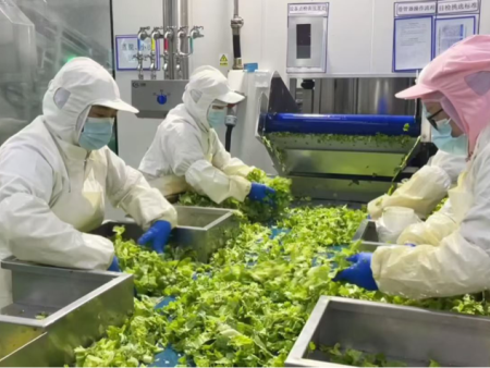 把菜种“懒”了，却把味种“鲜”了