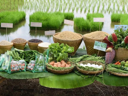 把“剩菜”写成新诗——绿阳的“反浪费”字帖