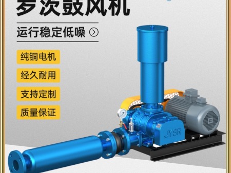 三叶罗茨风机鱼塘曝气增氧机高压大功率污水处理真空泵水产养殖