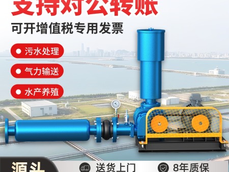 三叶罗茨风机污水处理水产养殖增氧泵沼气等特殊气体输送罗茨风机