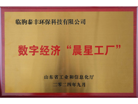 数字经济“晨星工厂”