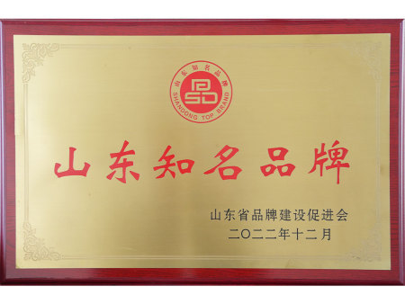 山东知名品牌
