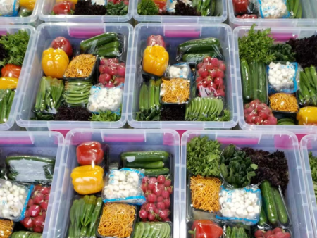 綠陽·2026 元旦獻詞