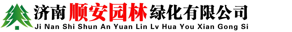 山东莱芜造型景松基地 