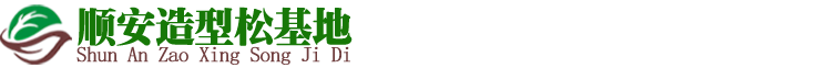 济南莱芜顺安园林有限公司