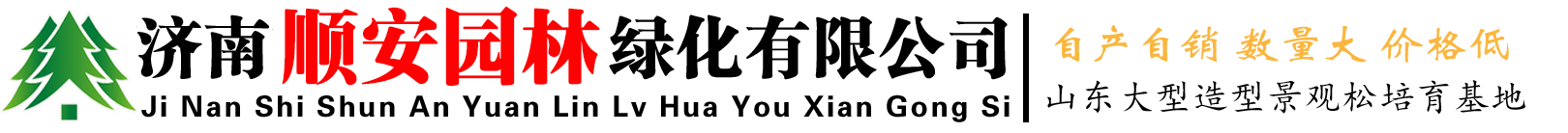 山东莱芜造型景松基地 