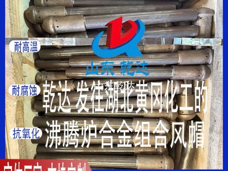 山東乾達 發(fā)往湖北省黃岡化工的 沸騰爐合金組合風(fēng)帽 