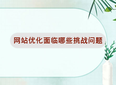 网站优化面临哪些挑战问题?