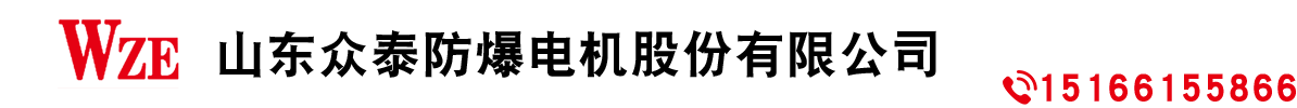 山东众泰防爆电机股份有限公司