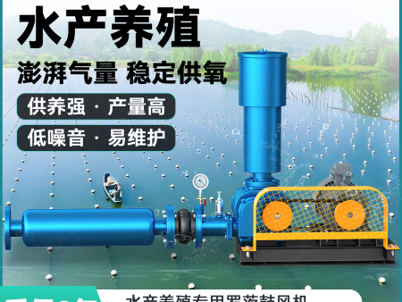 三叶罗茨风机气力输送罗茨风机增氧机工业污水处理高压罗茨风机