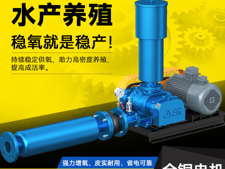 三叶罗茨风机鱼塘增氧沼气等特殊气体输送负气罗茨风机