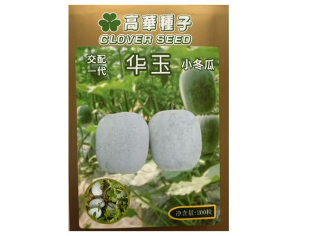 华玉小冬瓜