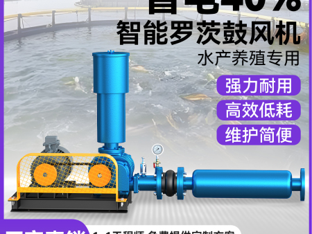 三叶罗茨鼓风机水产养殖污水处理鱼塘增氧机高压曝气鼓风机