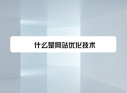 什么是网站优化技术？