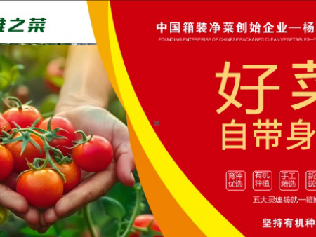 二十年匠心铸好菜 五大灵魂立标杆 杨凌绿阳诠释“好菜自带身份”