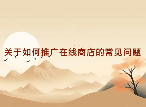 关于如何推广在线商店的常见问题