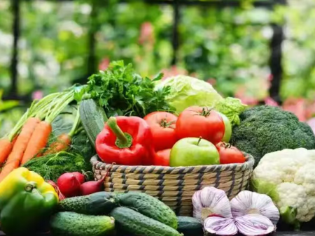 过年过节送菜的都是亲人 杨凌绿阳二十载铸就健康馈赠标杆