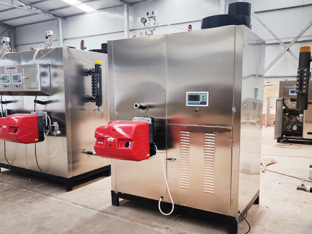 燃油燃气蒸汽发生器