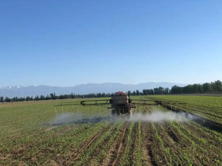 植物源杀虫剂在储粮害虫防治中的研究进展