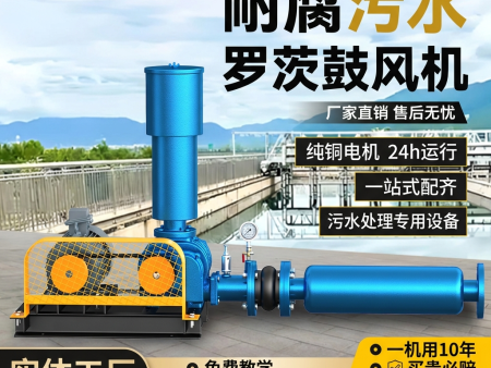 三葉羅茨鼓風機工業(yè)級曝氣風機污水處理水產(chǎn)養(yǎng)殖羅茨鼓風機