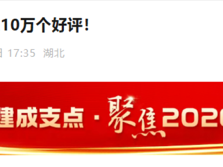 10万+候鸟给洪湖的好评