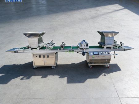 如何选择芹菜穴盘育苗机，芹菜自动育苗机