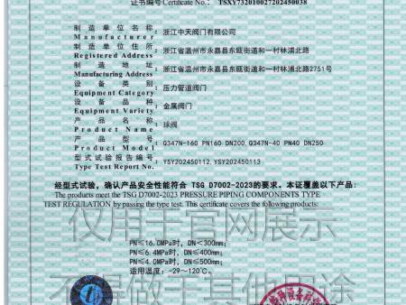 特种设备型式试验证书打印版