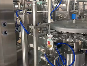 醬腌菜給袋式包裝機