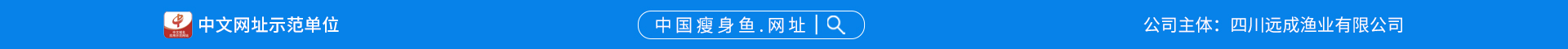 域名