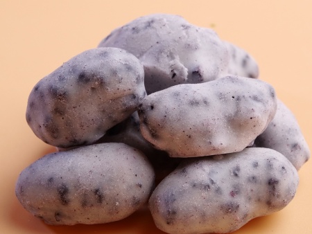 巧克力涂层冻干桑葚