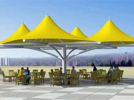 鑫宇环膜结构 (6)