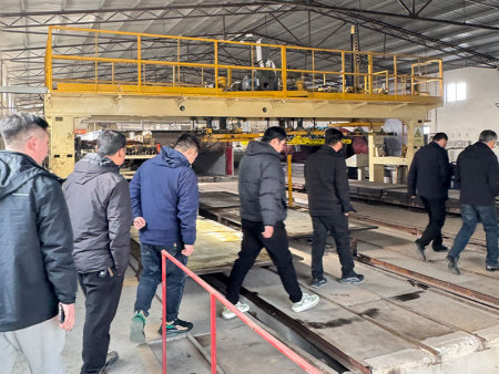 Domestic customer visits