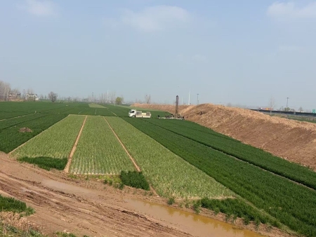 开封打井打桩水开封打井黄河边陈留麦田浇地井