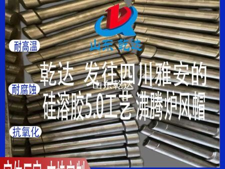 山东乾达 发往四川雅安的 硅溶胶5.0工艺 沸腾炉风帽 