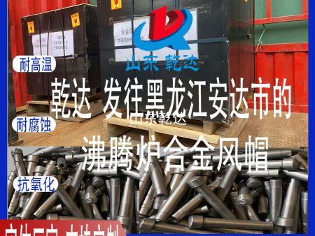 山东乾达 发往黑龙江安达市化工厂的 沸腾炉合金风帽生产厂家