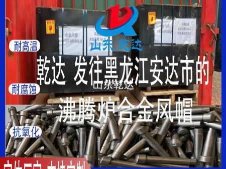 山东乾达 发往黑龙江安达市化工厂的 沸腾炉合金风帽生产厂家