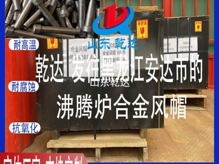 山东乾达 发往黑龙江安达市化工厂的 沸腾炉合金风帽生产厂家