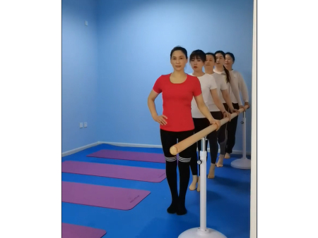 普拉提把杆教培