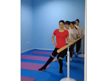 普拉提把杆教培