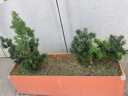 戶外綠化水泥纖維板花槽定制項(xiàng)目 戶外綠化水泥纖維板花槽定制項(xiàng)目