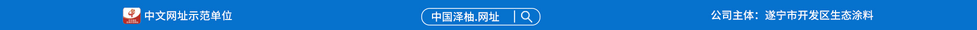 域名