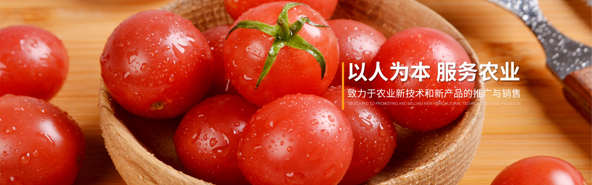 寿光市鑫齐果蔬专业合作社