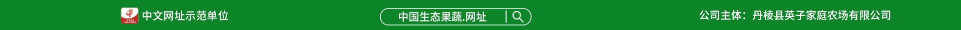 域名