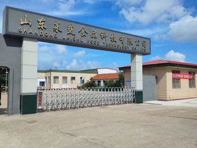 【莱蔬食品】果蔬脆_果蔬脆代理_果蔬脆厂家