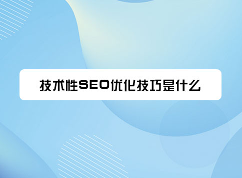 技术性SEO优化技巧是什么？