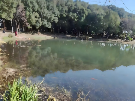 “鱼”见西小湖